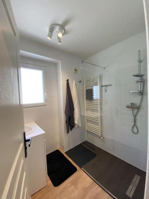 Magnifique Appart Renove Evian Duplex Vue Lac 8 Pers Zewnętrze zdjęcie